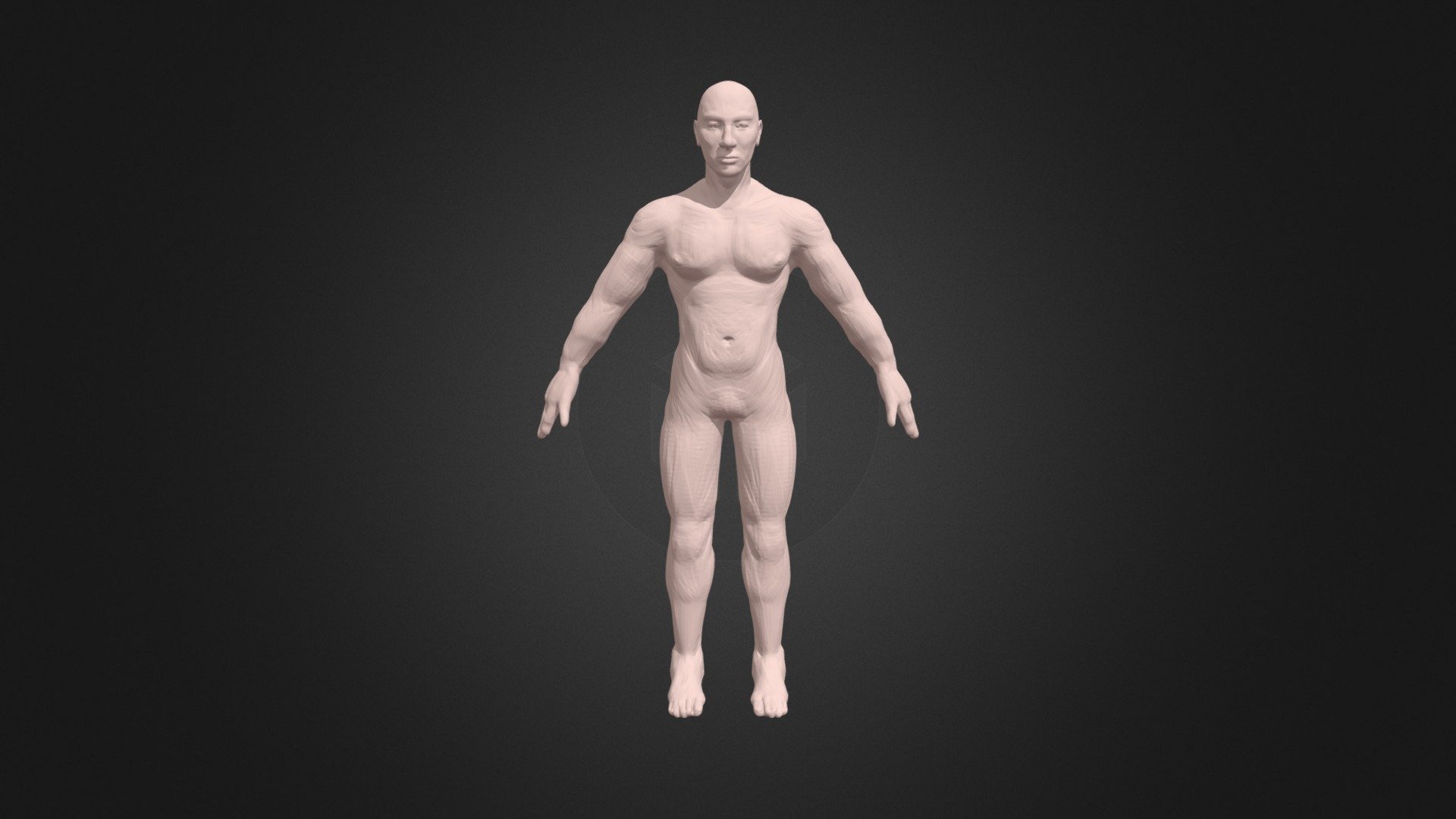 full body pre topology