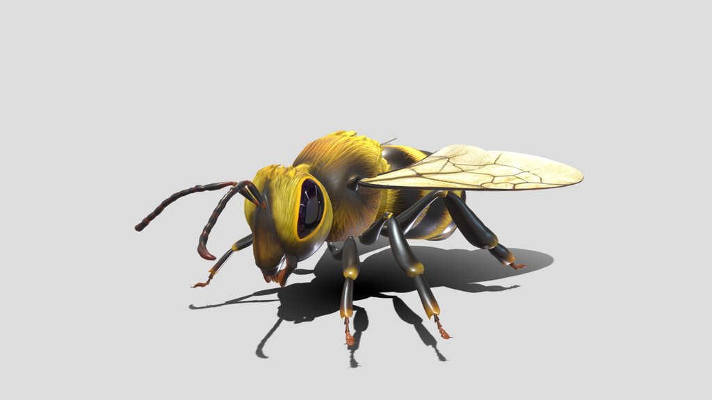 Animated Bee