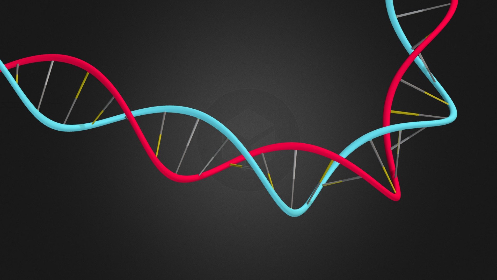 DNA helix — Sketchfab embed 3D viewer