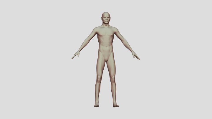 Male Standard 01 3D Model