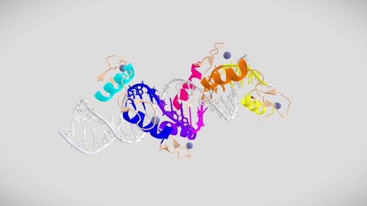 collada2 3D Model
