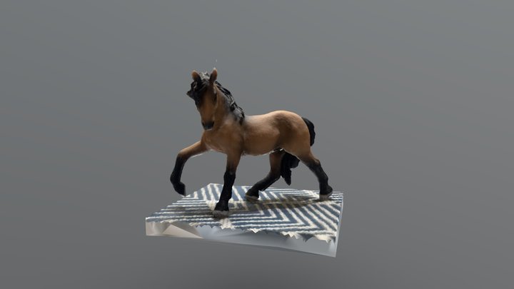 Scan 2023-05-01T14:17:16.760Z 3D Model