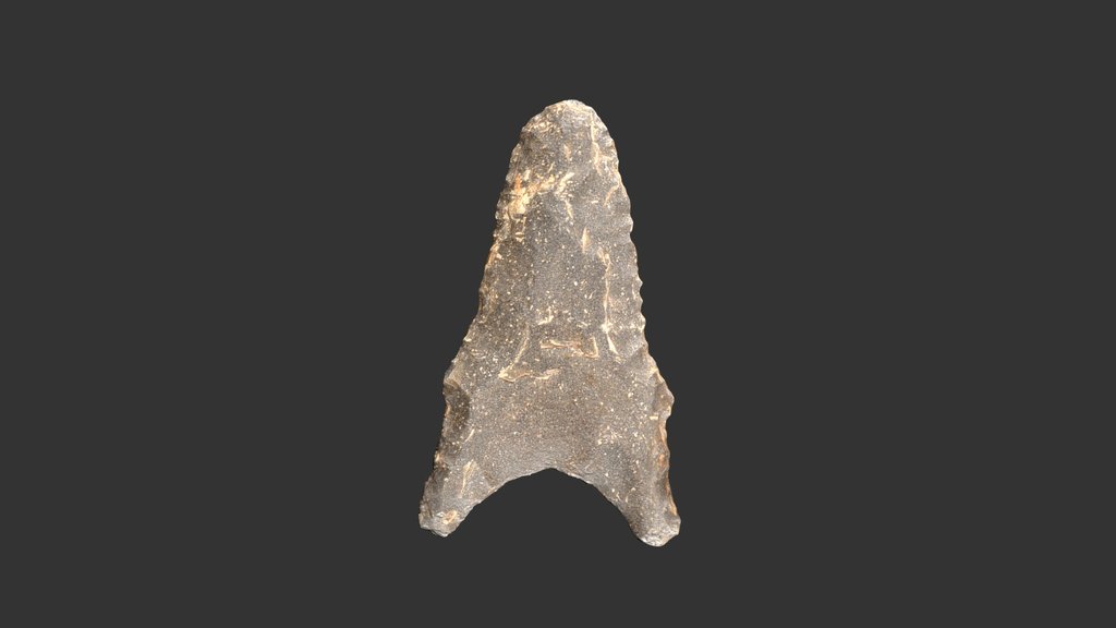 HardawayDalton A 3D model collection by RLA Archaeology (rla