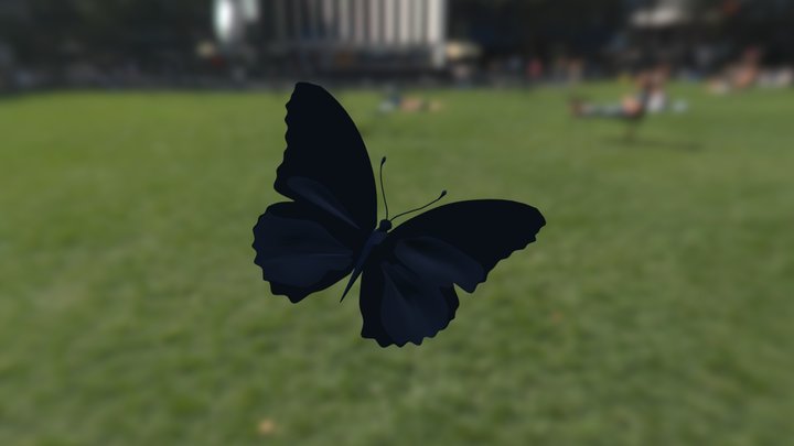 Mariposa 3D Model