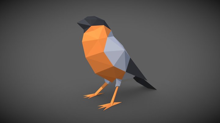 Bird - Bullfinch 3D Model