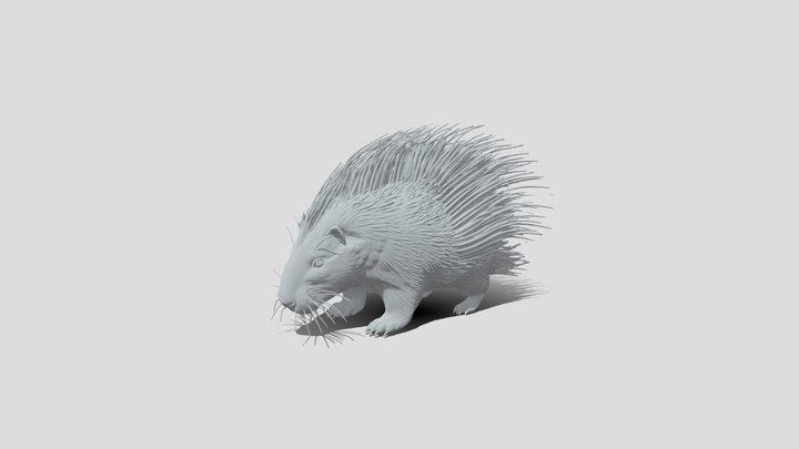 Spiny Porcupine High Poly 3d Model – Kostenloses 3D-Modell STL