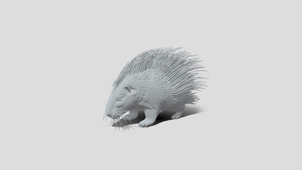 Spiny Porcupine High Poly 3d Model
