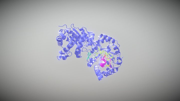 Triosephosphate Isomerase Enzyme 3D Model