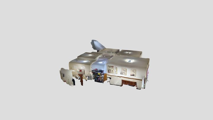 Untitled Scan 3D Model
