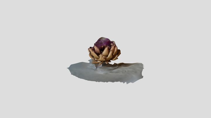 artichoke 3D Model