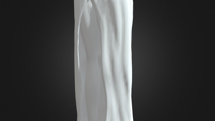 Modelo 1 - Calliope 3D Model