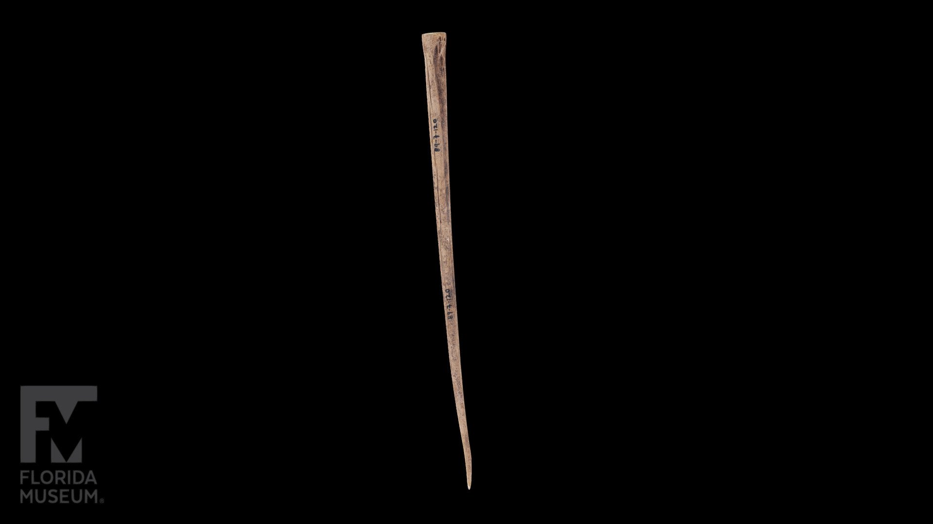 Bone point - 3D model by FloridaMuseum [1ccb4ba] - Sketchfab