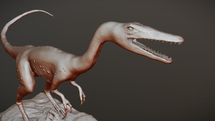 Compsognathus Dinosaur Run Pose 3D Model 3D Model $139 - .3ds .c4d .fbx .ma  .obj .max - Free3D