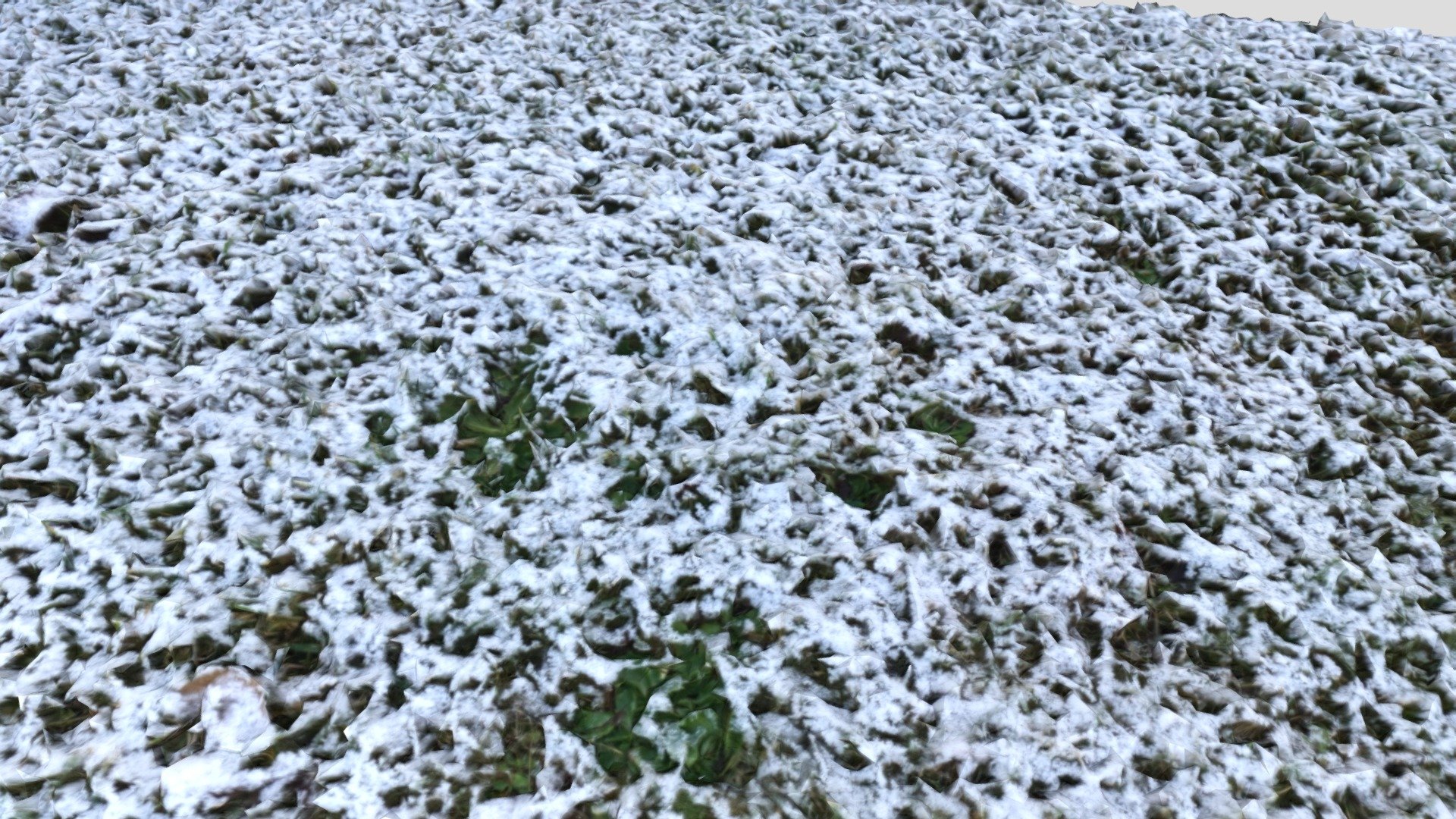 3d scan grass with snow