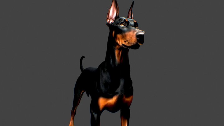 Doberman Stance agresive dogs – Modello 3D gratuito STL