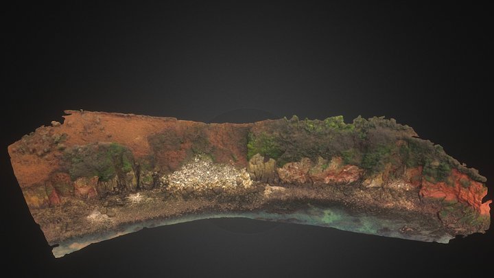 Broadsands beach cliff 3D Model