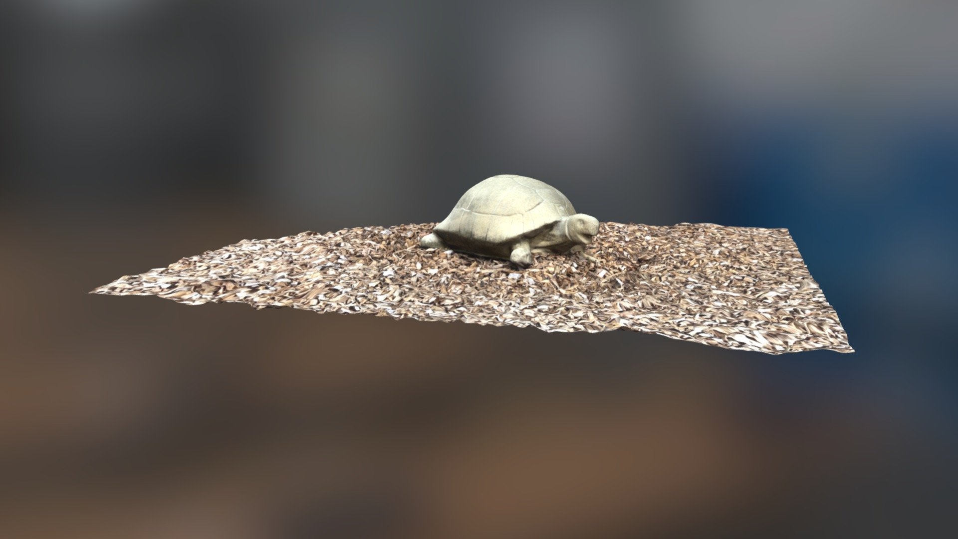 Turtle Statue On Woodchips