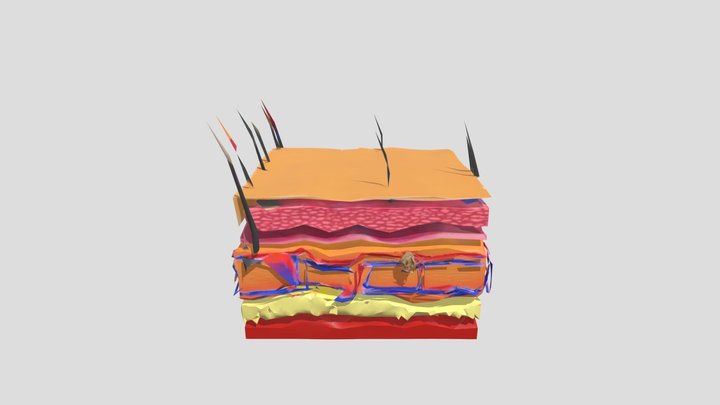 IM UGA 3D Model