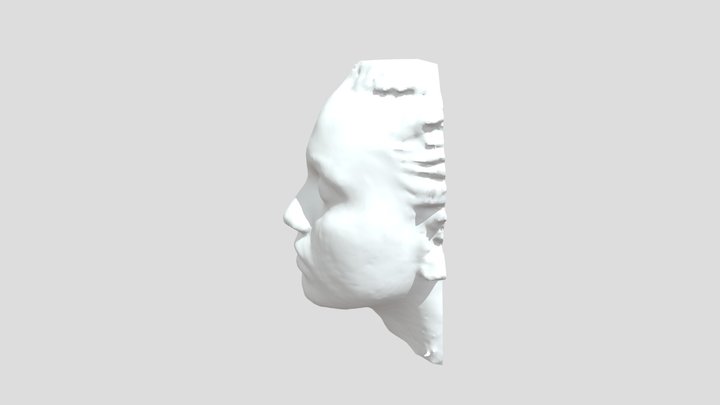 w2_scan_iane 3D Model