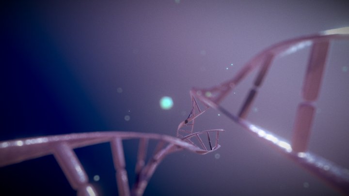 DNA Double Helix 3D Model. 3D Model