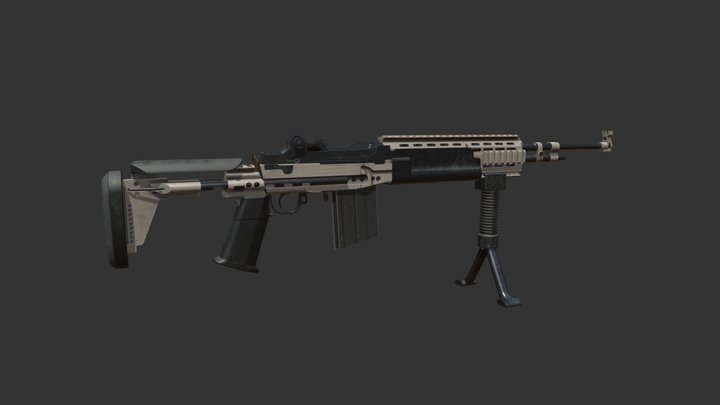 M14 EBR 3D Model