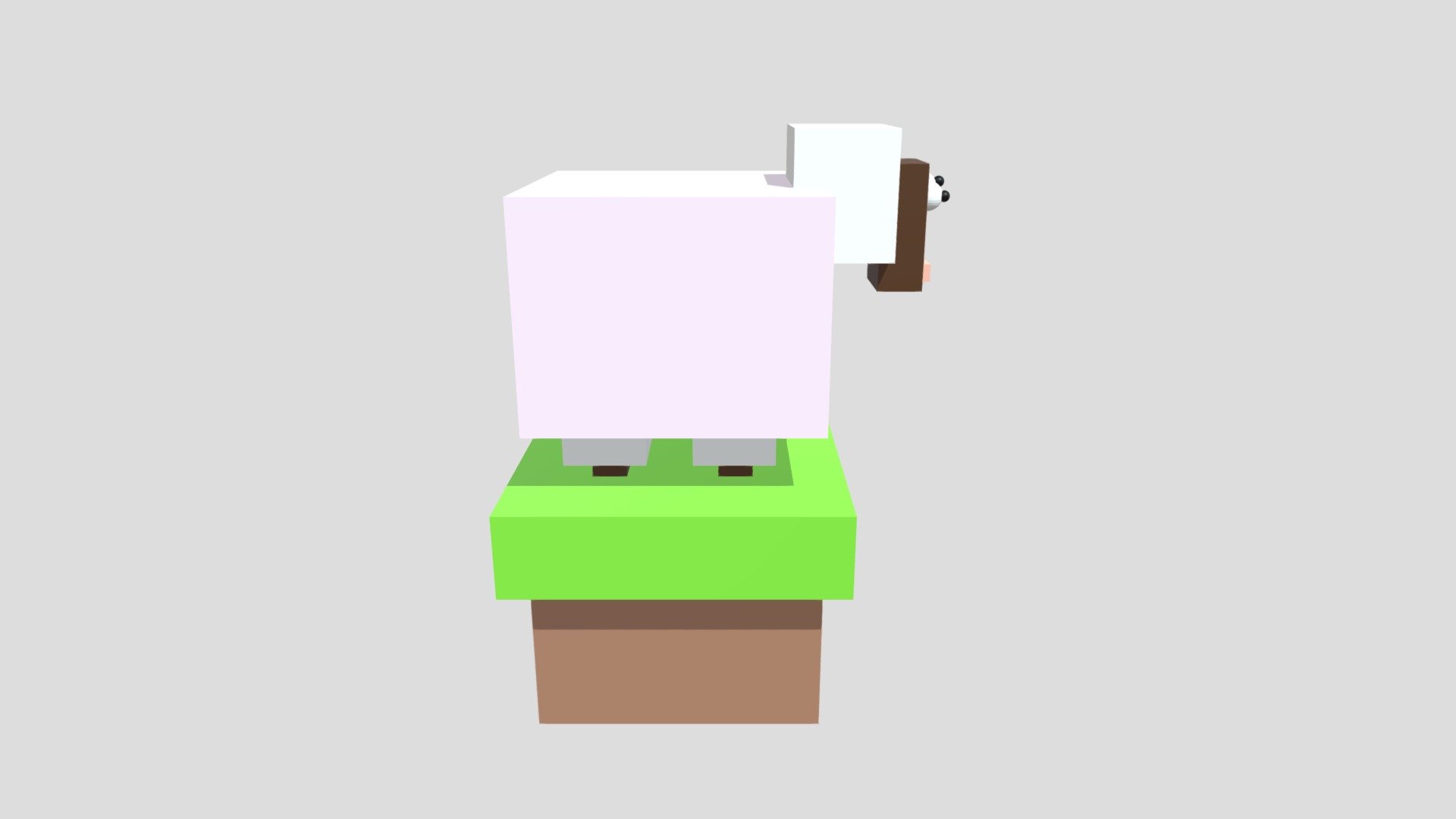 Sheep