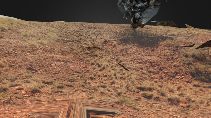 Buminyji - Artefact Scatter 3D Model