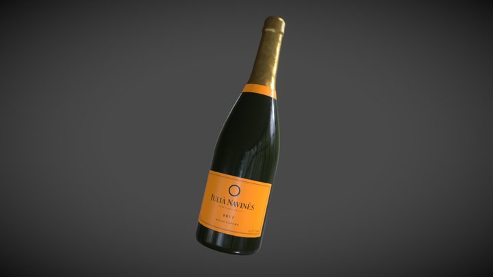 Champagne Bottle 3D Model