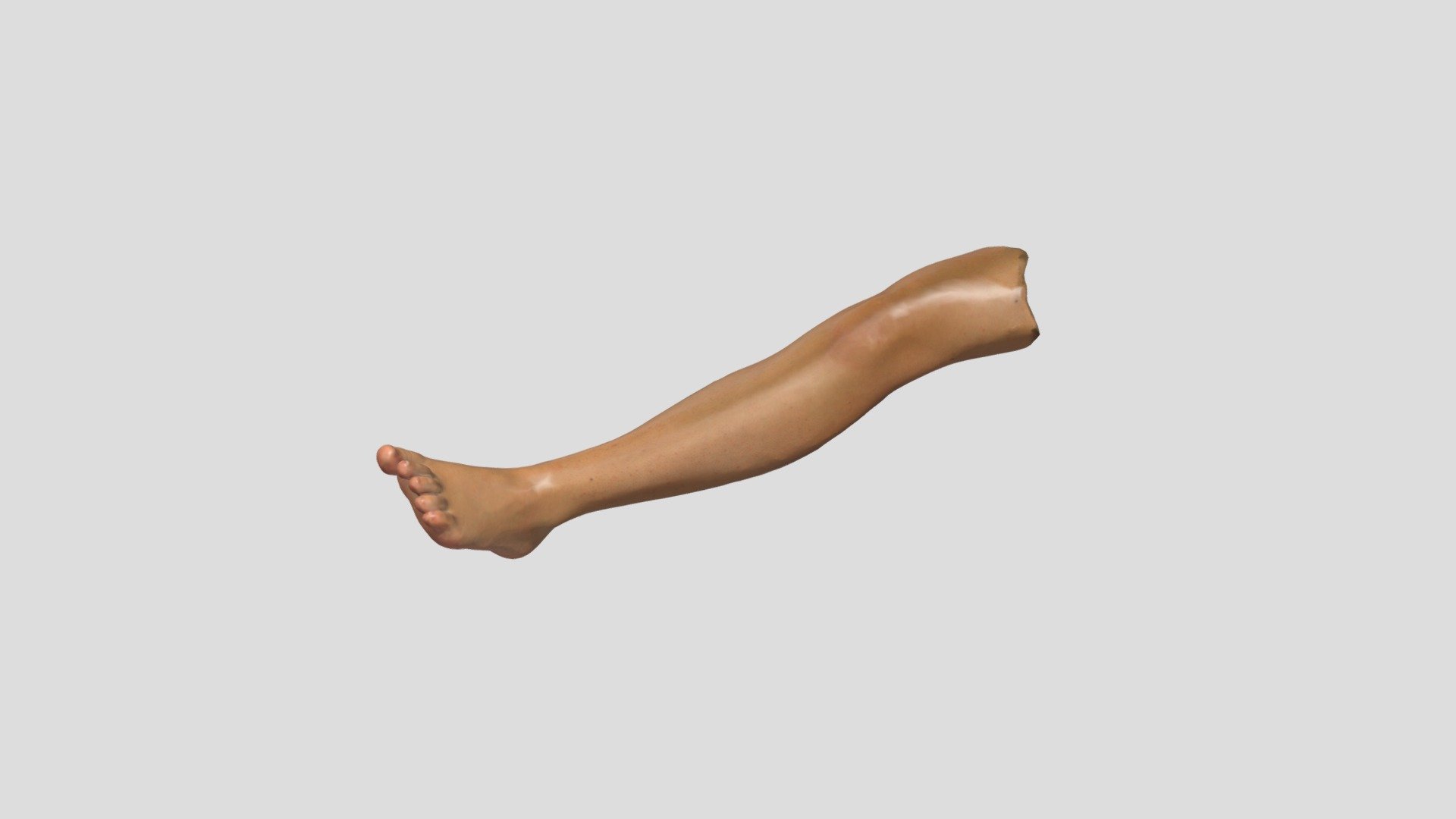 Human Leg Buy Royalty Free 3d Model By Sieluroho [1ce9f2b