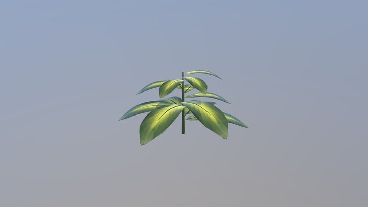 Plant 1 3D Model