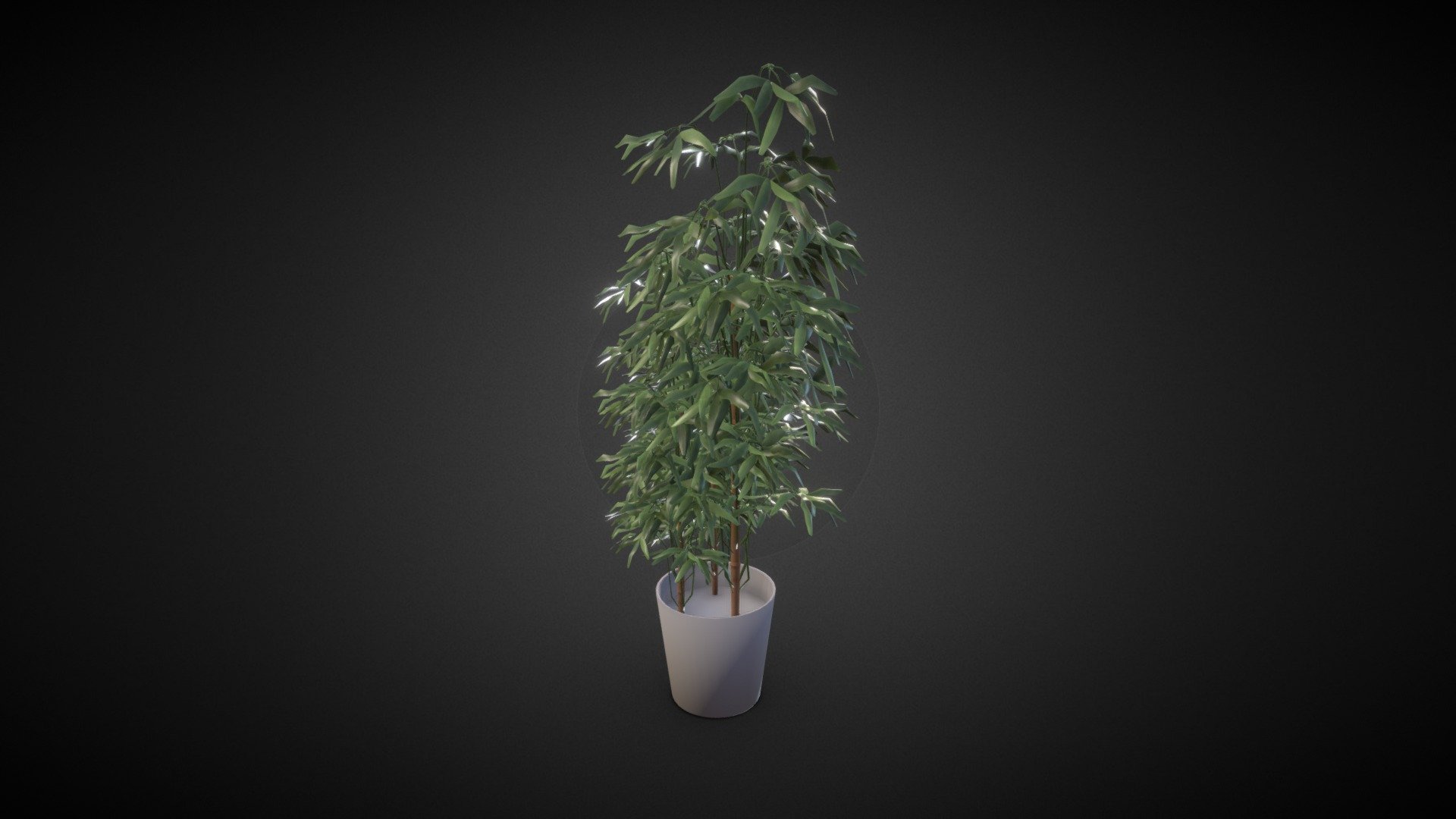 bamboo