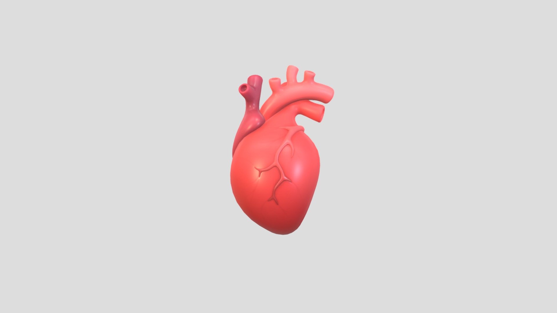 Cartoon Human Heart - Buy Royalty Free 3D model by Cartoon Objects ...