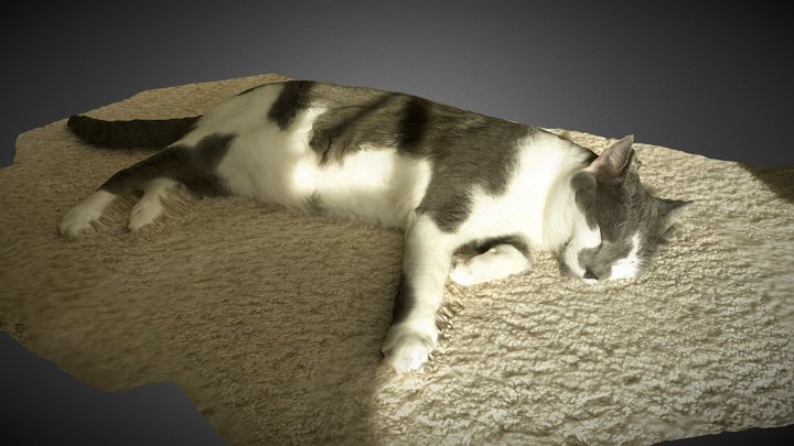 My new cat – Modèle 3D gratuit STL