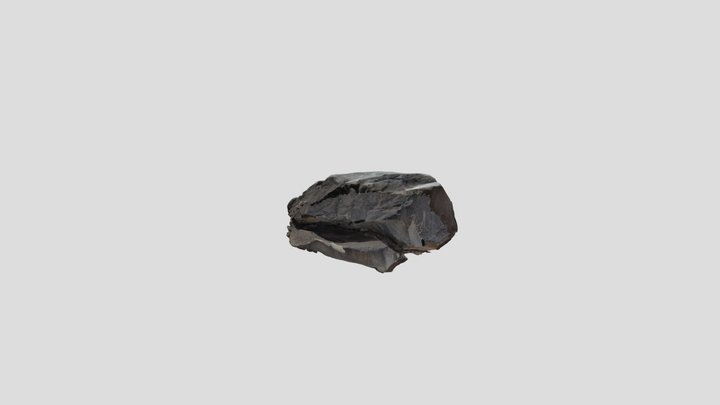 Petroglifo Ampajango 8 3D Model