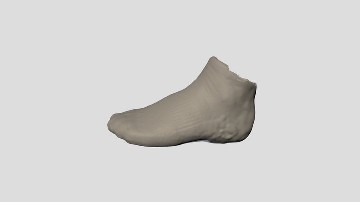 Shoe_model_mayafinishedv2 3D Model