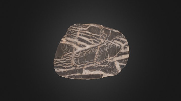No. 10 | Vein | Handspecimen 3D Model