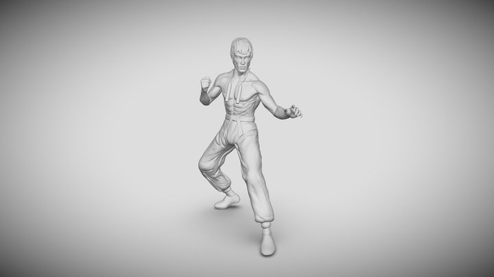 Bruce Lee  stl 3D Model
