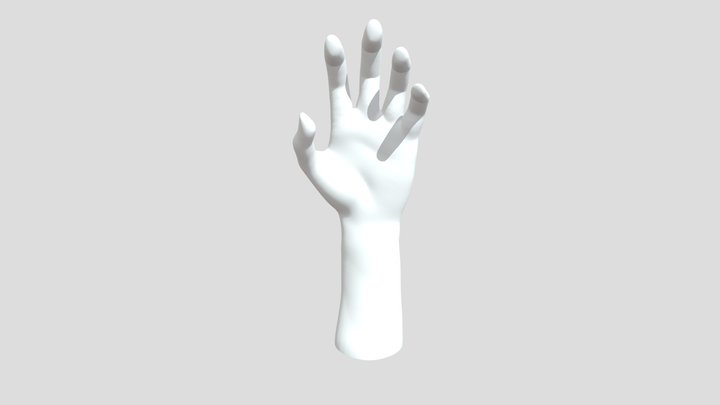 Hand Basemesh 3D Model