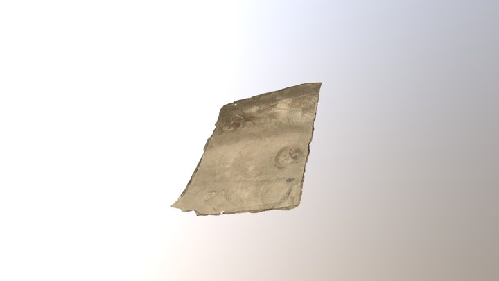 Dinosaur track 3D Model