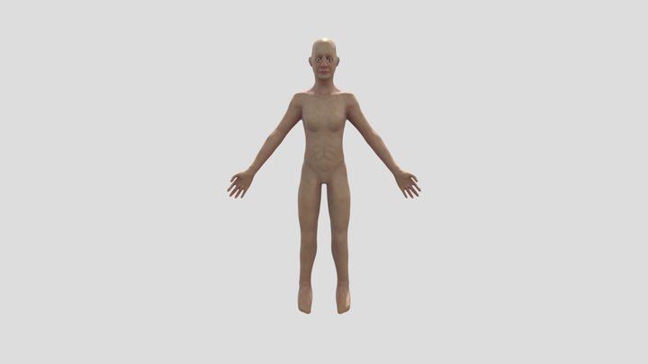 2nd year full body 3D Model
