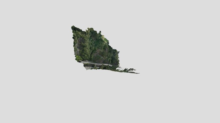 badia_simplified_3d_mesh 3D Model