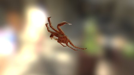 33Crabby 3D Model