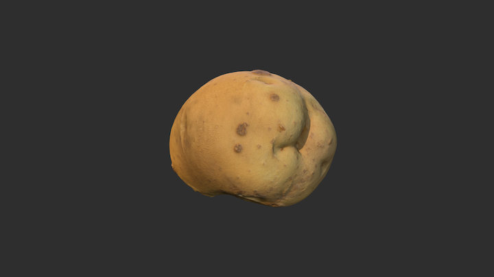 Potato Bum 3D Model
