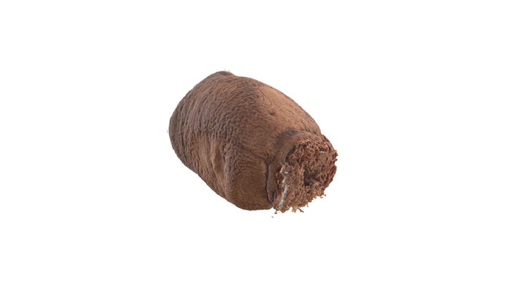 Anêmona-do-mar 3D Model