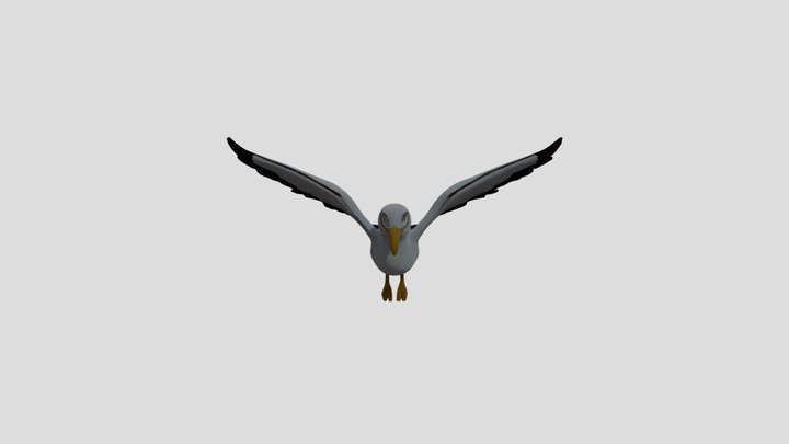 Seagull Cartoon 3D Model