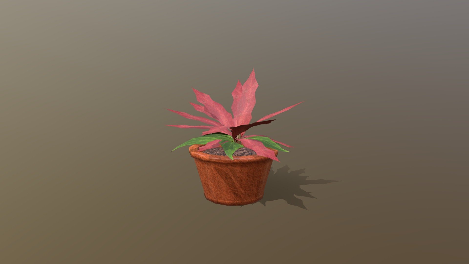 Wk08_Plant