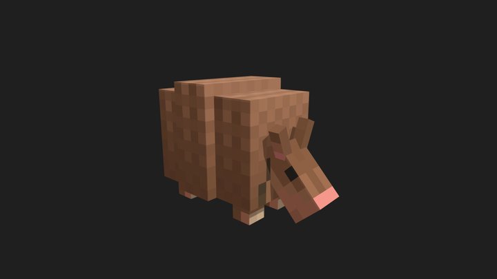 Armadillo 3D Model