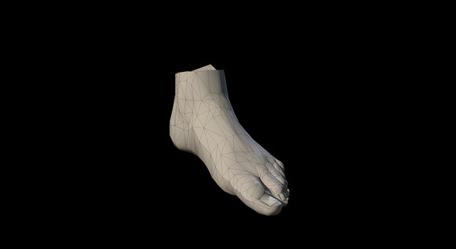 Feet Left 3D Model