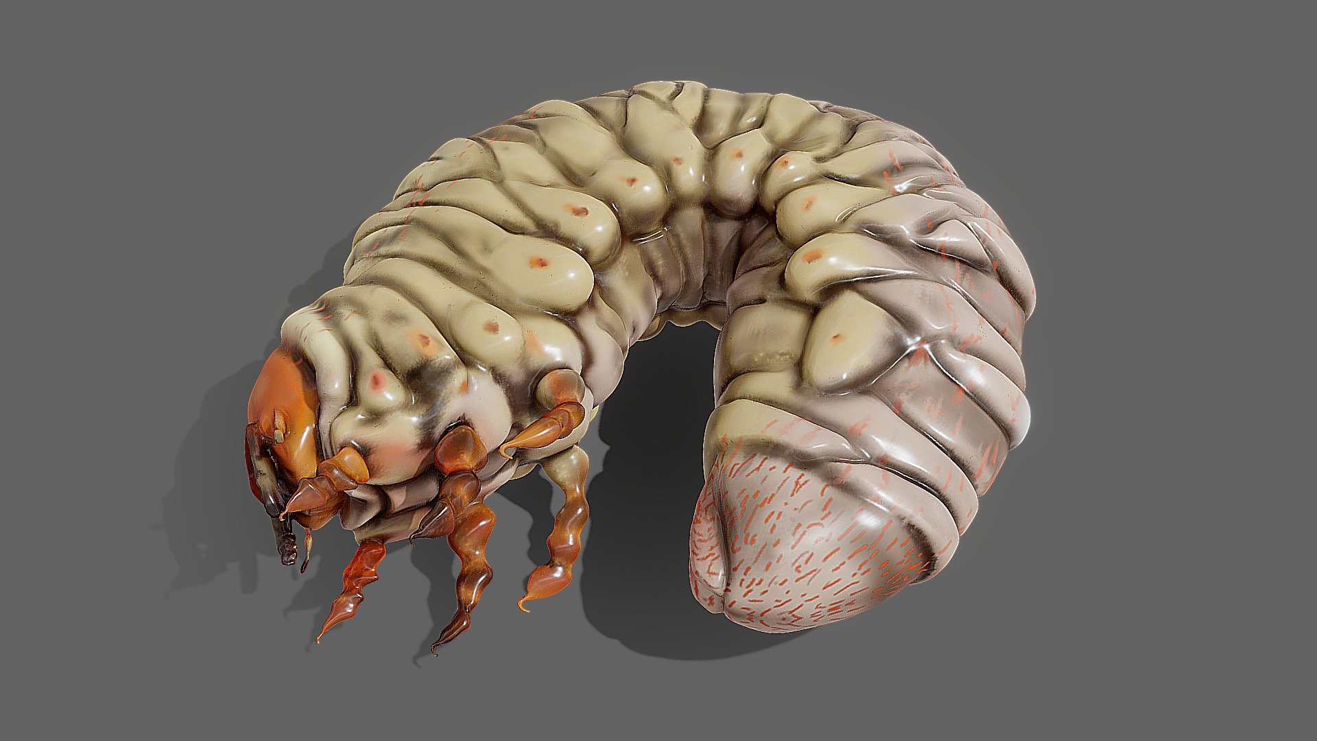 Nagy szarvasbogár pajor — Sketchfab embed 3D viewer