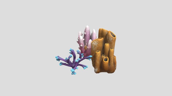 Coral Anker Kleur 3D Model